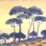 The Pines That Refused to Disappear