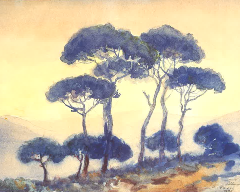 The Pines That Refused to Disappear